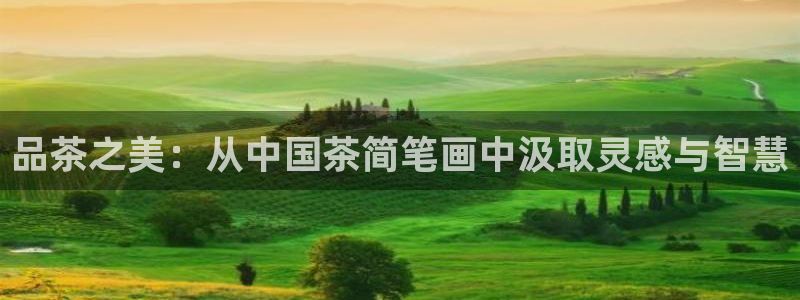 龙八国际是什么软件