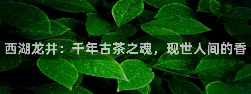 龙八国际下载链接官网