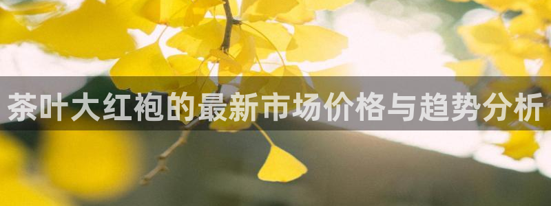 龙八国际网页版本