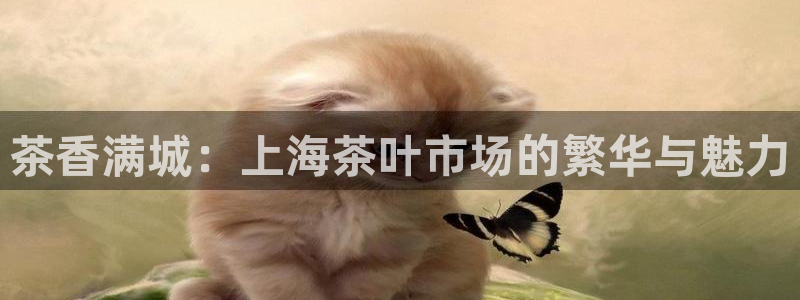龙八国际集团有限公司