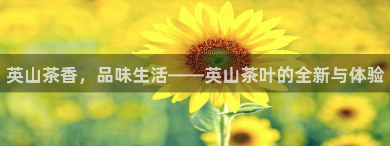 龙八国际下载链接一