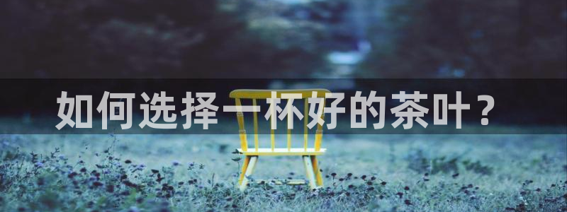 龙八国际下载链接安卓