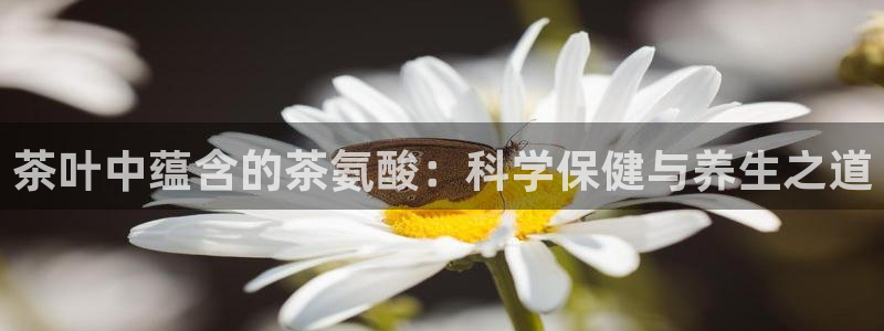 龙八国际服官网