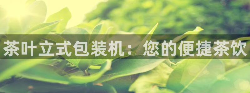 龙八国际登录密码