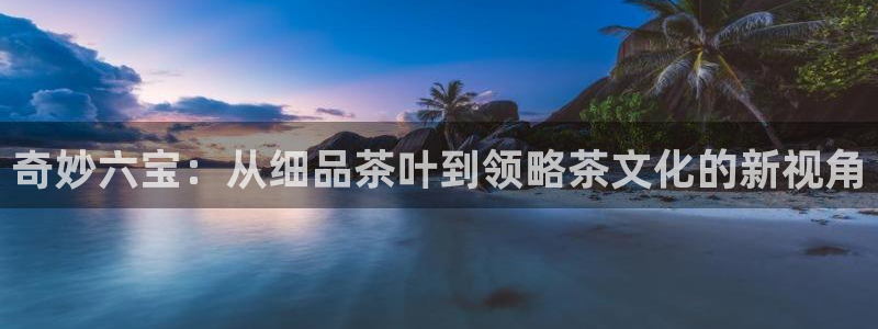龙八国际手机下载