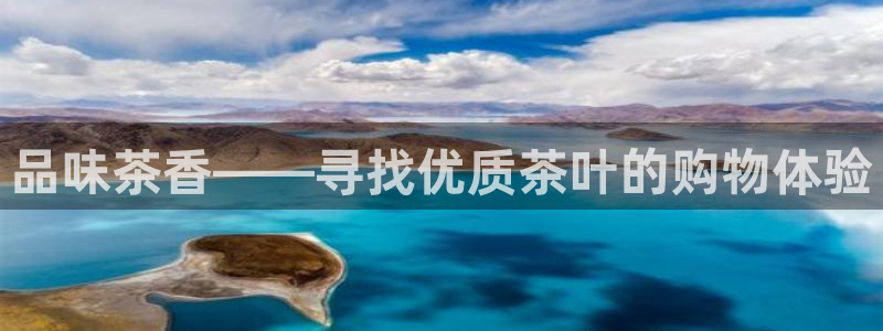龙八国际app