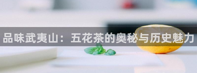 龙八国际mG