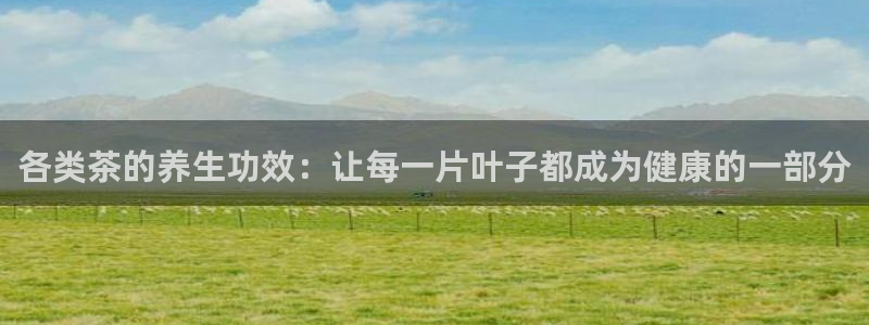 龙八国际客服