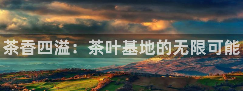 龙八国际平台下载