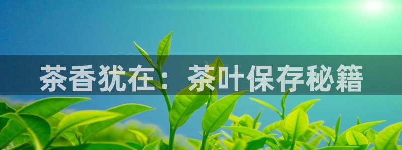 龙八国际手机版首页