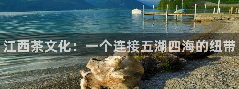 龙八国际更新
