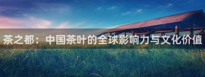 龙八国际地址