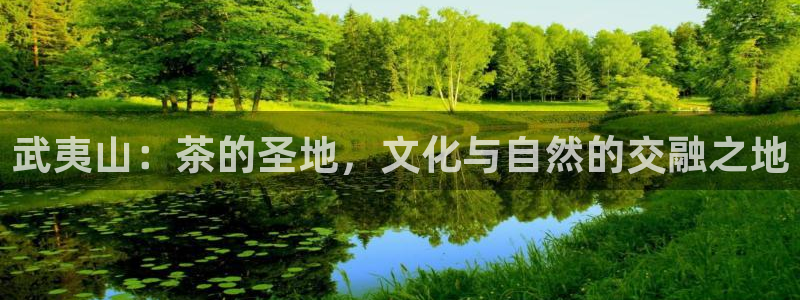 龙八国际娱乐在线