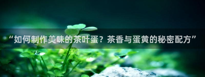 龙八国际网页版