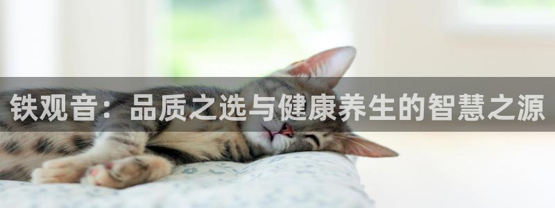 龙八国际app下载官网