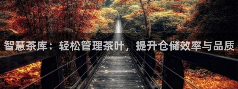 龙八国际代理登陆