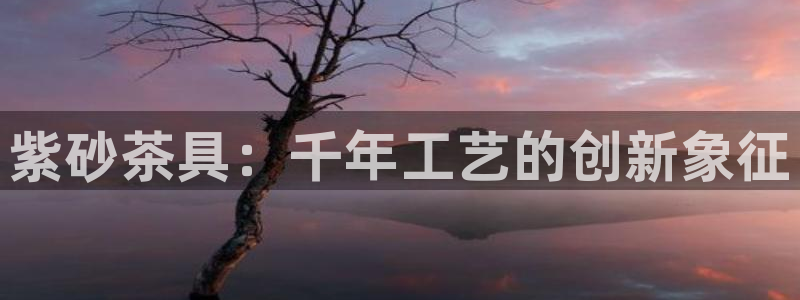 龙八国际怎么注册安卓