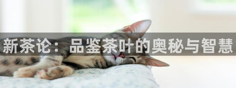 龙八国际app客户下载