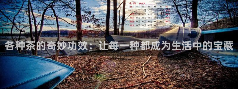 龙八国际棋牌有挂吗