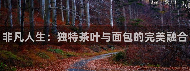 龙八国际娱乐网站多少
