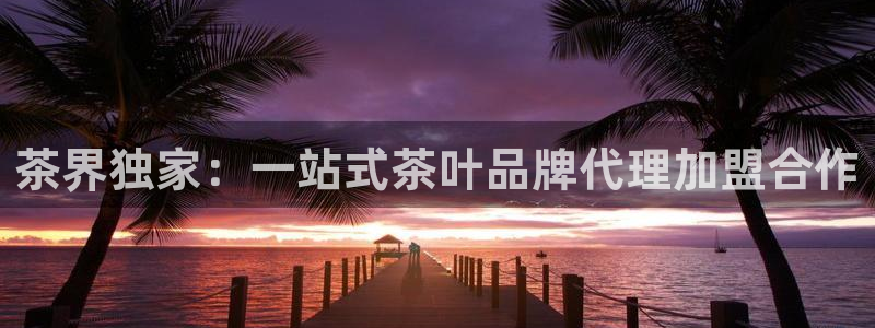 龙八国际下载地址