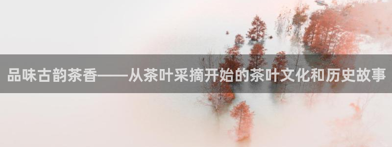 龙八国际手机版下载