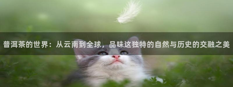 龙八国际什么诈骗