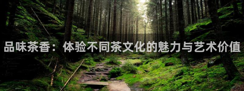 龙八国际网址是多少