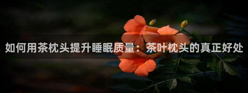 龙八国际平台yb48点top