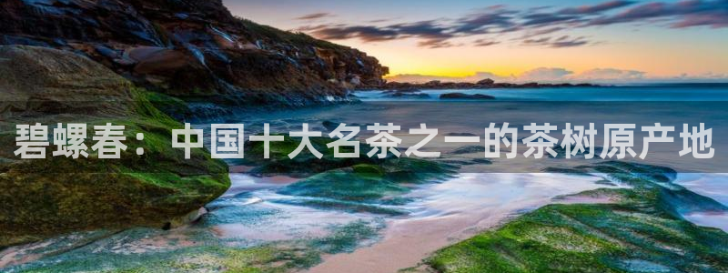 龙八国际下载链接安卓
