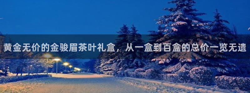 龙八国际有限责任公司