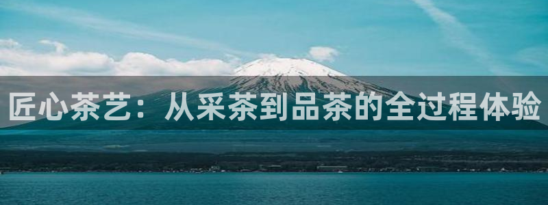 龙八国际网页long123