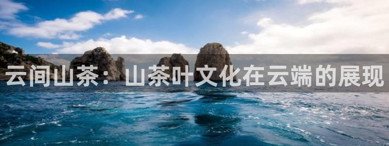 龙八国际app下载安装