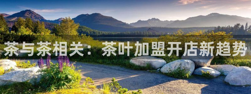 龙八国际娱乐在线