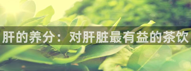 龙八国际有没有假