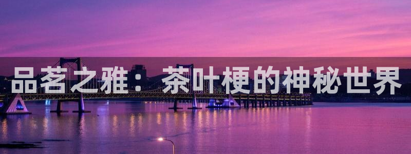 龙八国际代理app