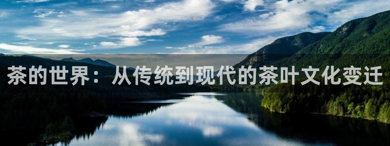 龙八国际下载链接官网