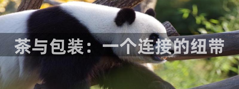 龙八国际pt客户端