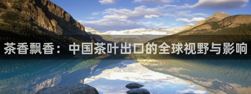 龙八国际