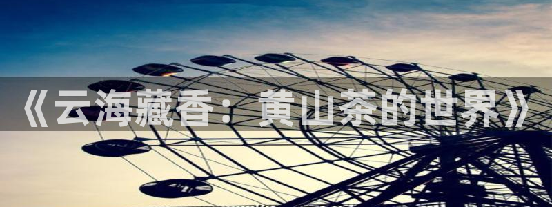 龙八国际app怎么下载