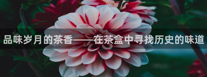龙八国际网址是什么
