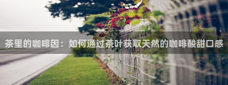 下载龙八国际网站
