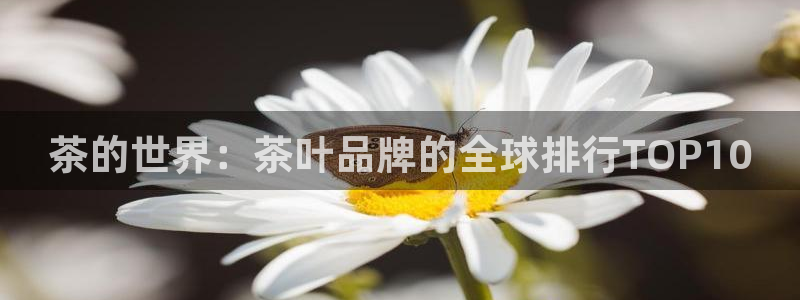 龙八国际平台真人游戏