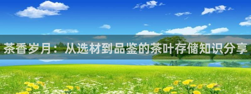 龙八国际集团有限公司