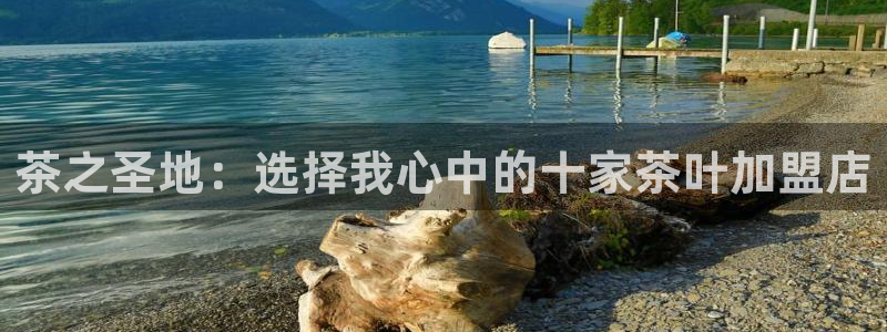 龙八国际pt老虎机官网