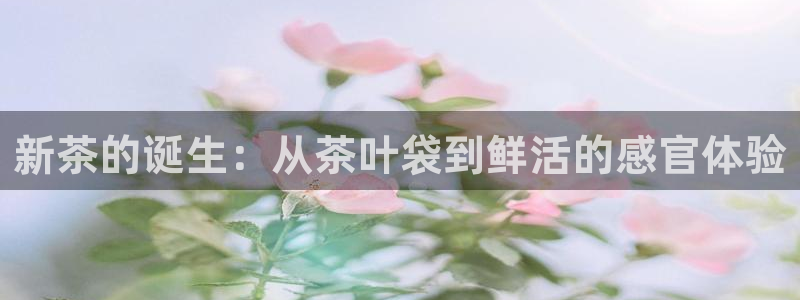 龙八国际代理app