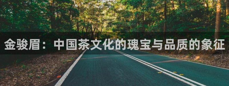 龙八国际我要登录