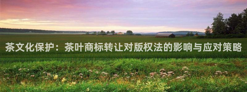 龙八国际客服