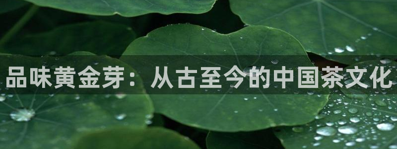 龙八国际娱乐官网手机