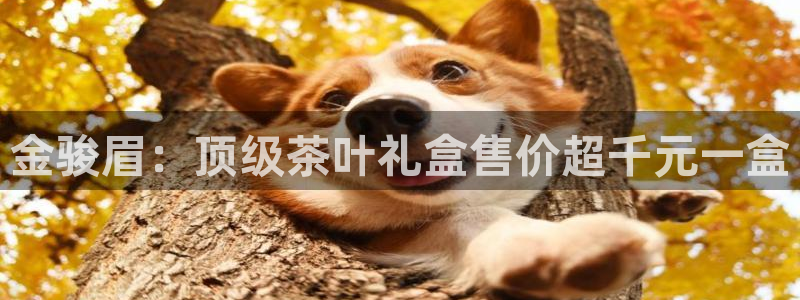 龙八国际代理登陆